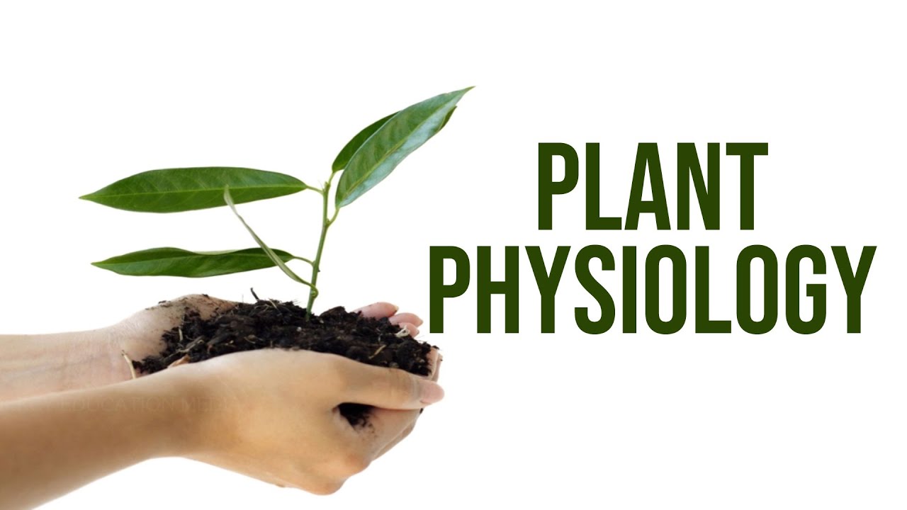Physiology of Plant Development